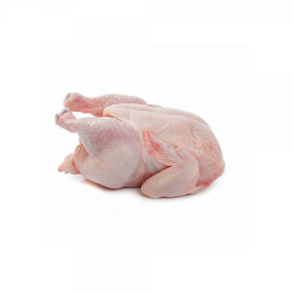 Chicken Coop